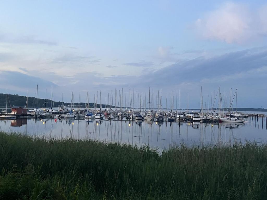 'Kapitaenslounge' Vollsanierte Fewo Mit Blick Auf Die Flensburger Foerde Harrislee Extérieur photo