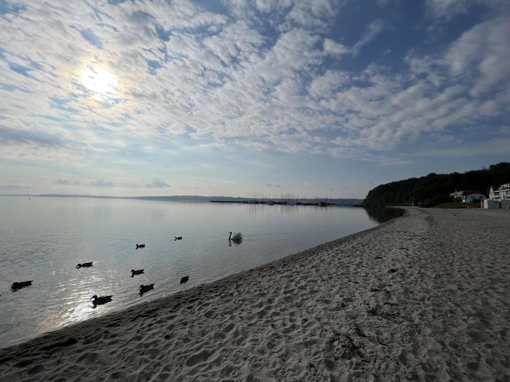 'Kapitaenslounge' Vollsanierte Fewo Mit Blick Auf Die Flensburger Foerde Harrislee Extérieur photo