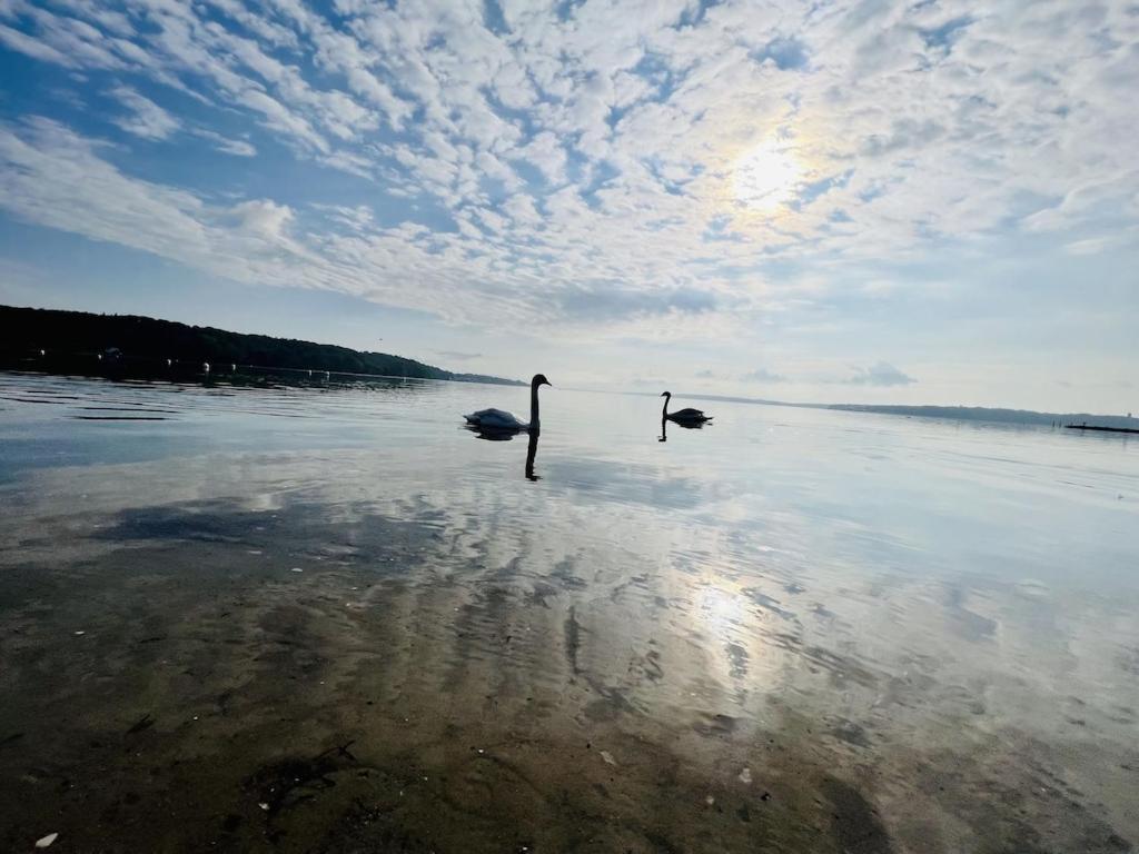 'Kapitaenslounge' Vollsanierte Fewo Mit Blick Auf Die Flensburger Foerde Harrislee Extérieur photo